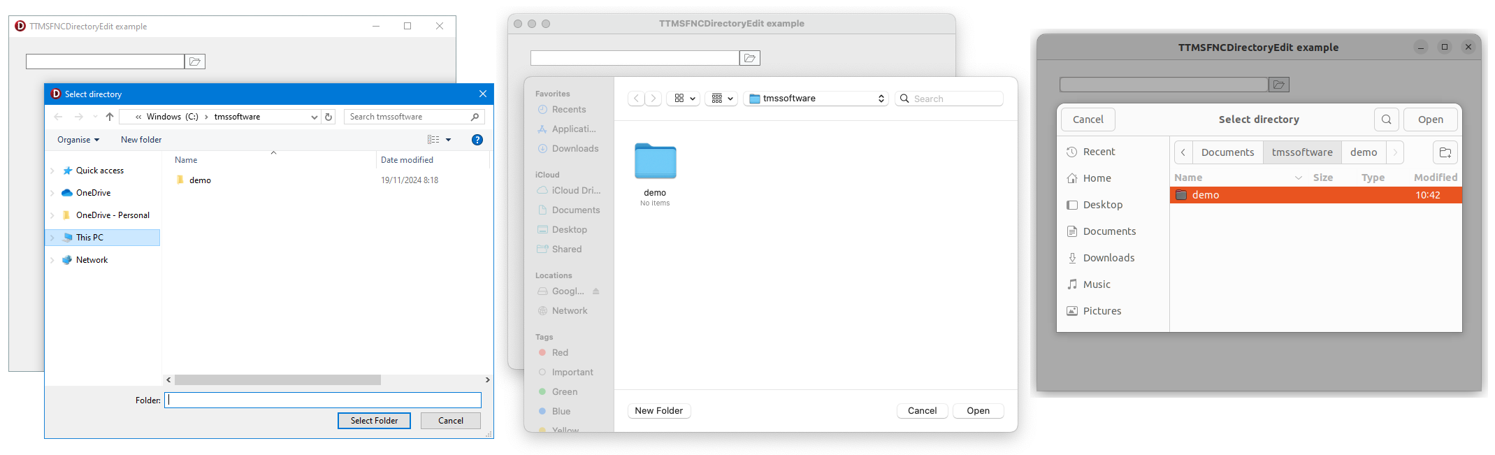 TMS Software Delphi  Components 