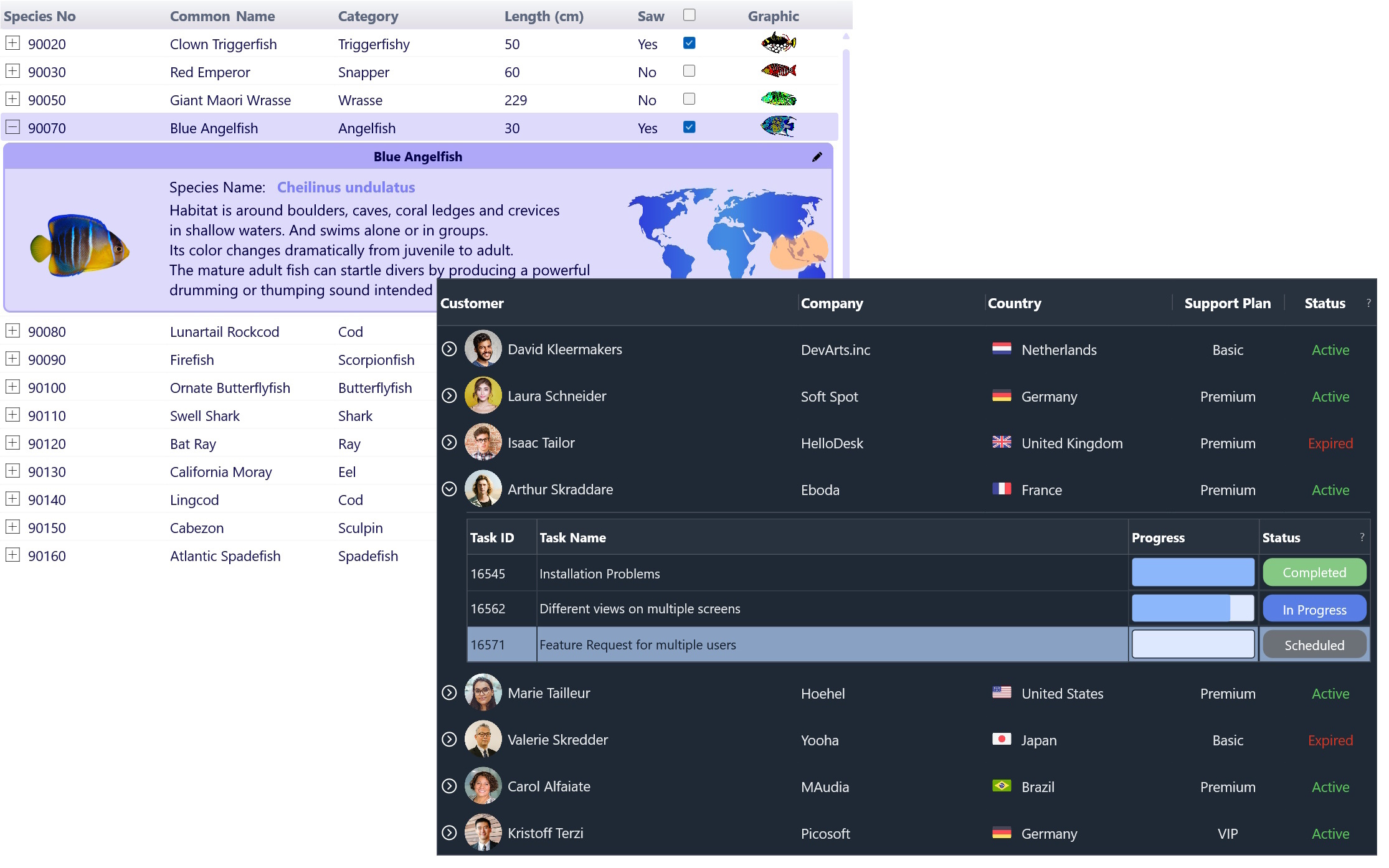 TMS Software Delphi  Components 