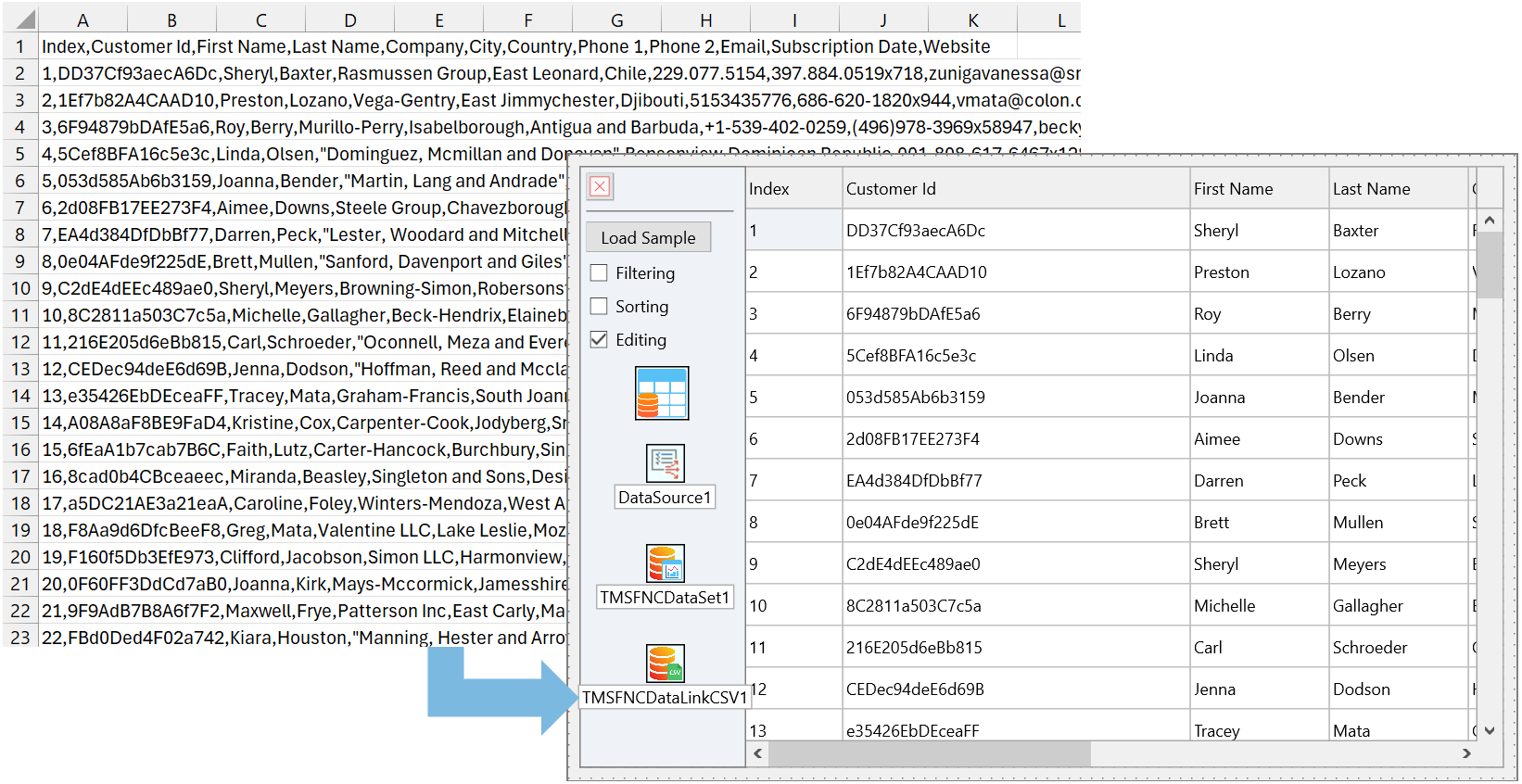 TMS Software Delphi  Components 