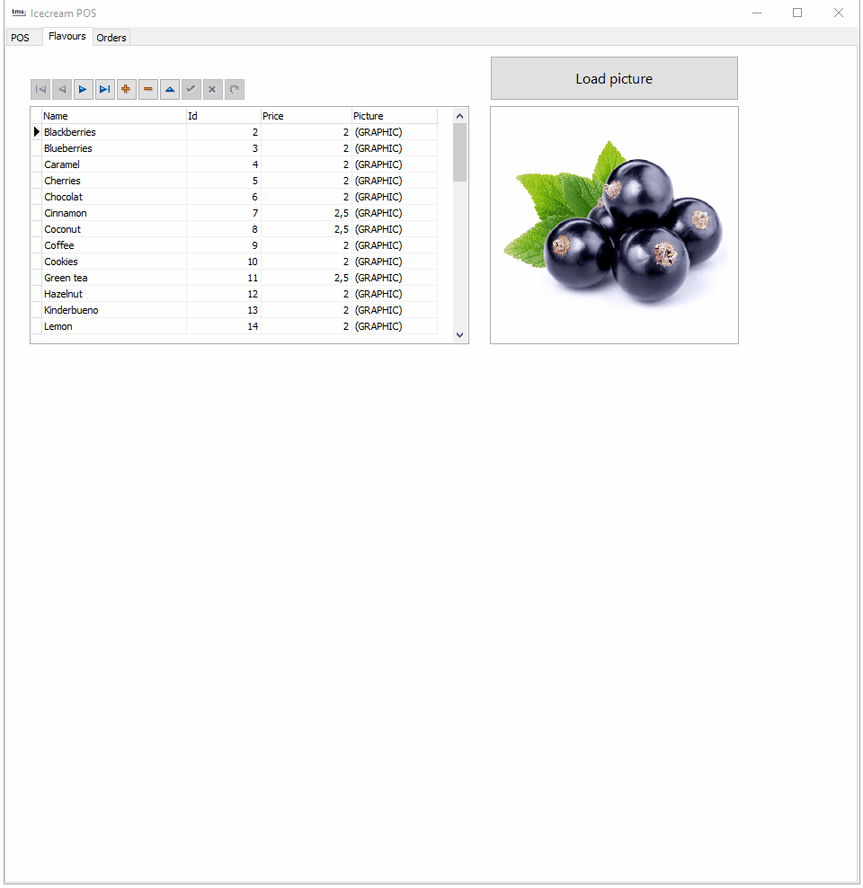 TMS Software Delphi  Components 