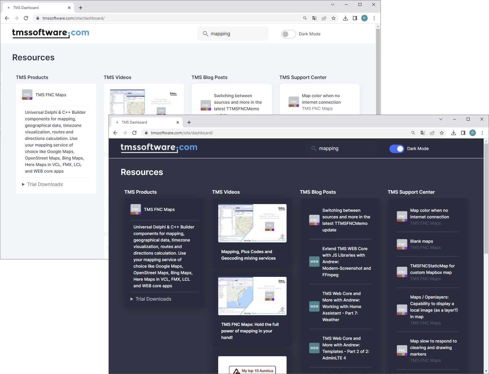 TMS Software Delphi  Components 