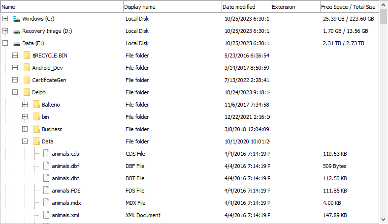 TMS Software Delphi  Components 